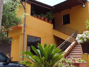 B&B Il Girasole في Laureana di Borrello: منزل أصفر مع سلالم ونباتات الفخار