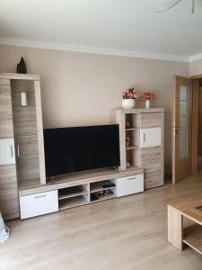 TV a/nebo společenská místnost v ubytování Appartement Cime l'Est