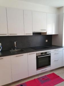 Kuchyň nebo kuchyňský kout v ubytování Appartement Cime l'Est