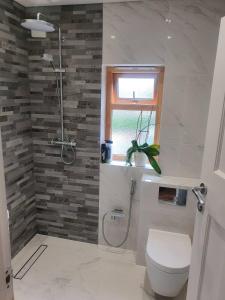 a bathroom with a shower and a toilet and a window at Beautiful guest rooms, Free Parking, 30min Heathrow, 40min Wembley, 60min Central London in Greenford