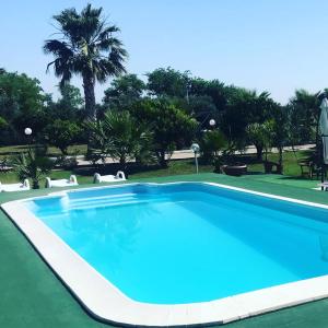 a large swimming pool in a resort with a palm tree at B. & B. Villa Giada in Ginosa Marina