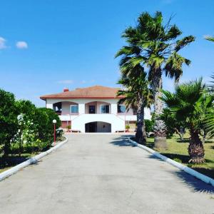 ジノーザ・マリーナにあるB. & B. Villa Giadaの椰子の木が生える家につながる道路