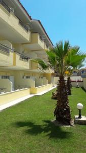 a palm tree in front of a building at Hotel Venus in Fourka