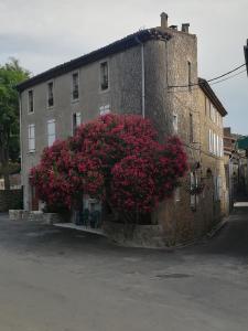 un edificio con flores rojas a un lado. en Chez Shona, en Lagrasse