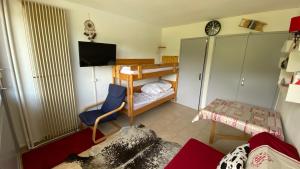 a small room with a bunk bed and a tv at La Colombe à Villard in Villard-de-Lans