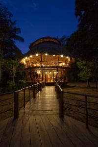 a wooden boardwalk with a building at night at Treehouse Lodge in Yucuruche