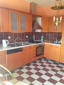 Kuchnia lub aneks kuchenny w obiekcie Apartman Kačić