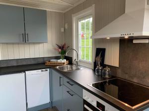 a kitchen with a sink and a counter top at Aa-Gård in Tennevoll +59 photos
