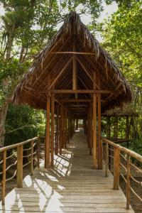 Gallery image of Treehouse Lodge in Yucuruche