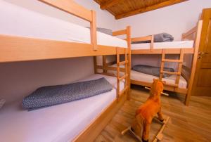 Krevet ili kreveti na kat u jedinici u objektu Vacation Home Hercegovka