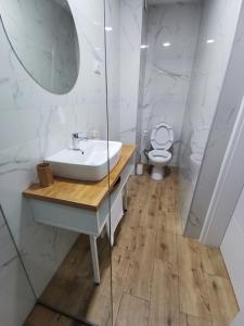 a bathroom with a sink and a toilet at Vila Breza in Soko Banja