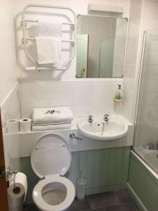 a bathroom with a toilet and a sink at The White Horse Inn in Cambridge