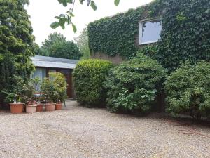 a building with bushes and plants in a yard at Ferienwohnung Fellnasen WG 2 in Krefeld