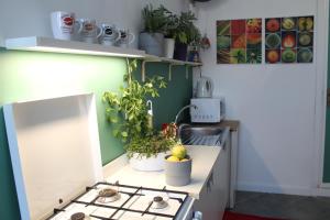 A cozinha ou kitchenette de Fiorelli 17