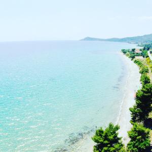 a view of a beach with trees and the ocean at Alexandrina in Mola Kalyva