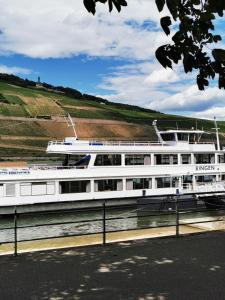 Foto de la galería de Rheinufer am Hindenburgpark en Bingen am Rhein