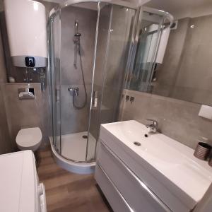 een badkamer met een douche, een wastafel en een toilet bij Apartament Na Fali in Łeba