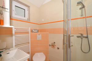 a bathroom with a shower and a toilet and a sink at Villa Fontana Apartment Olive in Bol
