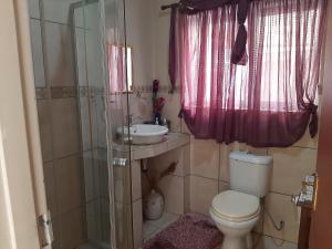 uma casa de banho com um WC, um lavatório e um chuveiro em Aloes Bush Stay em Hoedspruit