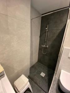 a bathroom with a shower and a toilet at Apartment Bel-Air in Knokke-Heist