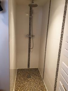 La salle de bains est pourvue d'une douche et de carrelage. dans l'établissement Le centre Fontainebleau, à Fontainebleau