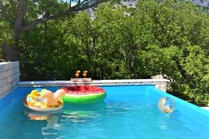 Gallery image of Vila Stella - holiday home with private heated pool in Senj