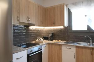 Kuchyň nebo kuchyňský kout v ubytování Orion Eco Suites