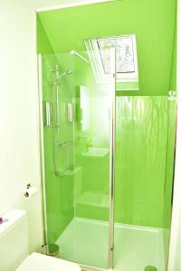 a green bathroom with a shower and a toilet at Lycia Rooms + in Inverness +51 photos
