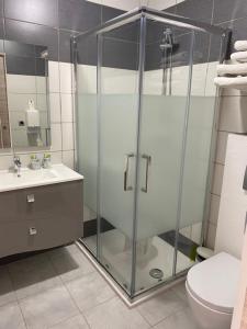 La salle de bains est pourvue d'une douche, de toilettes et d'un lavabo. dans l'établissement LOGIS Hôtel La Chaumière, à Marseillan