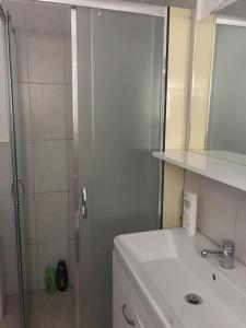 La salle de bains est pourvue d'une douche et d'un lavabo. dans l'établissement Eriola apartament, à Orikum