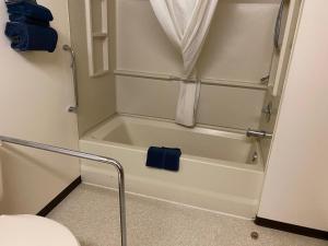 a bathroom with a bath tub and a toilet at Northern Star Hotel & Convention Center in Slave Lake