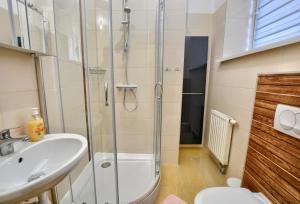 W łazience znajduje się prysznic, umywalka i toaleta. w obiekcie Apartamenty pod Górą Parkową w mieście Krynica Zdrój +1 zdjęcie