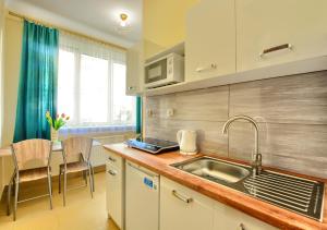 een keuken met een wastafel en een aanrecht bij Apartamenty pod Górą Parkową in Krynica Zdrój