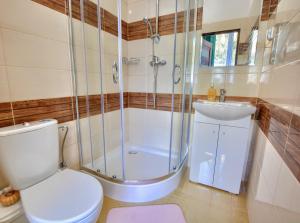 a bathroom with a toilet and a shower and a sink at Apartamenty pod Górą Parkową in Krynica Zdrój