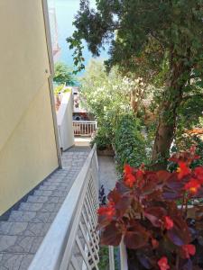 Zahrada ubytování Apartments Ljiljana