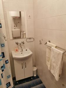 Koupelna v ubytování Apartments Ljiljana