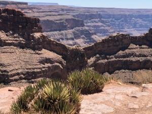 a view of the grand canyon from the rim at Cabins at Grand Canyon West in Peach Springs
