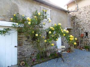 a building with yellow roses growing on the side of it at La Bicyclette Bleue in Montpinchon