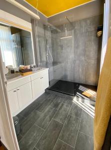 ein Bad mit Dusche und Fliesenboden in der Unterkunft Les Lamartine-chambres d'hôtes in Le Mans
