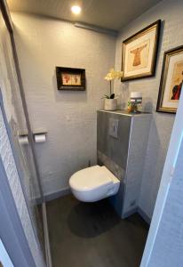 a bathroom with a toilet in a room at Les Lamartine in Le Mans