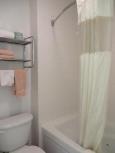 La salle de bains est pourvue de toilettes et d'un rideau de douche. dans l'établissement Americas Best Value Inn Weatherford, à Weatherford