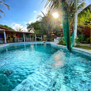 a large swimming pool with a palm tree in front of a house at Pousada Ilha do Vento in São Miguel do Gostoso