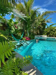 a swimming pool in the middle of a garden with palm trees at Pousada Ilha do Vento in São Miguel do Gostoso