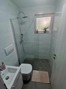 a bathroom with a shower and a toilet and a sink at Apartma VRTNICA in Bovec