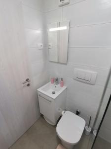 a white bathroom with a toilet and a mirror at Apartma VRTNICA in Bovec