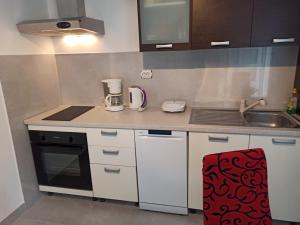 Kuchyňa alebo kuchynka v ubytovaní Apartments Desa Petric