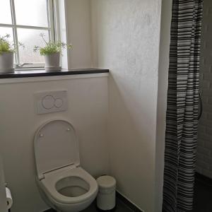 a small bathroom with a toilet and a window at Samsø værelseudlejning in Tranebjerg