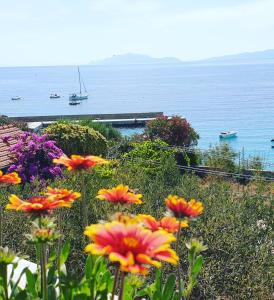 Paesaggio naturale nelle vicinanze del bed & breakfast