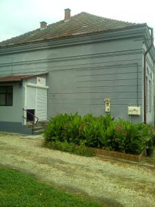 a gray house with plants in front of it at Dráva Völgye Vendégház in Zákány