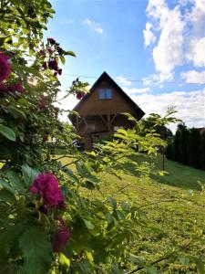 Ogród w obiekcie PILGRIM domek gościnny w Gietrzwałdzie na Warmii